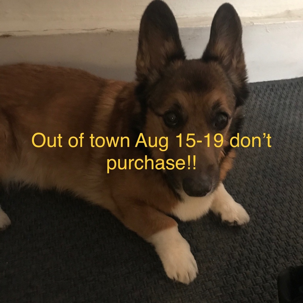 Out of town! Don’t purchase aug 15-19